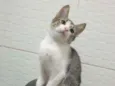 ........