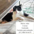 Maria João