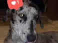 Frida