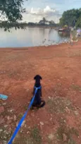 blue