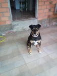 Chiquinha