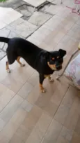 Chiquinha