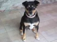 Chiquinha