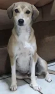 Maggie