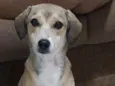Maggie