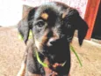 Sem nome