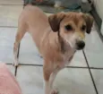 Maggie