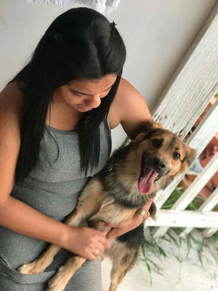 Cachorro ra a Mestiço idade 2 anos nome Aslham e Docinho 