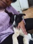 Precioso