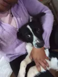Precioso