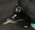 Teresa