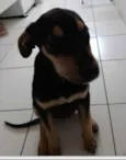 Teresa
