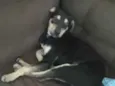 Teresa