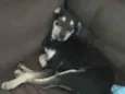 Teresa