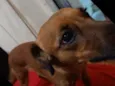 Frida 