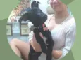 Estrela