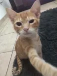 Jhonny