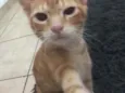 Jhonny