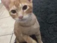 Jhonny