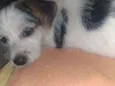 Nina