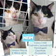 Neim