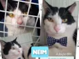 Neim