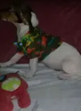 Annita