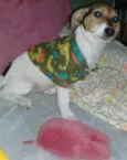Annita