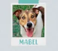 Mabel 