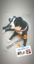 Zé