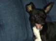 Spike