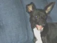 Spike