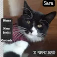 SARA