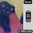 FARAÓ