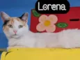 LORENA