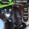 TININHA