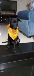 Lua