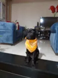 Lua