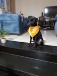 Lua