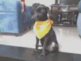 Lua