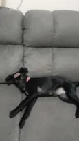 LUNA