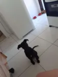 LUNA
