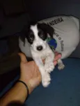 sem nome ainda