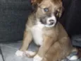 Skye
