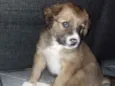 Skye