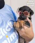 JOANINHA
