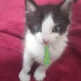 Nick 