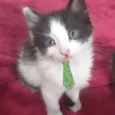 Nick 