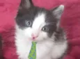Nick 