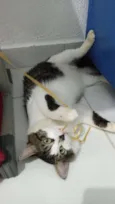 Charles